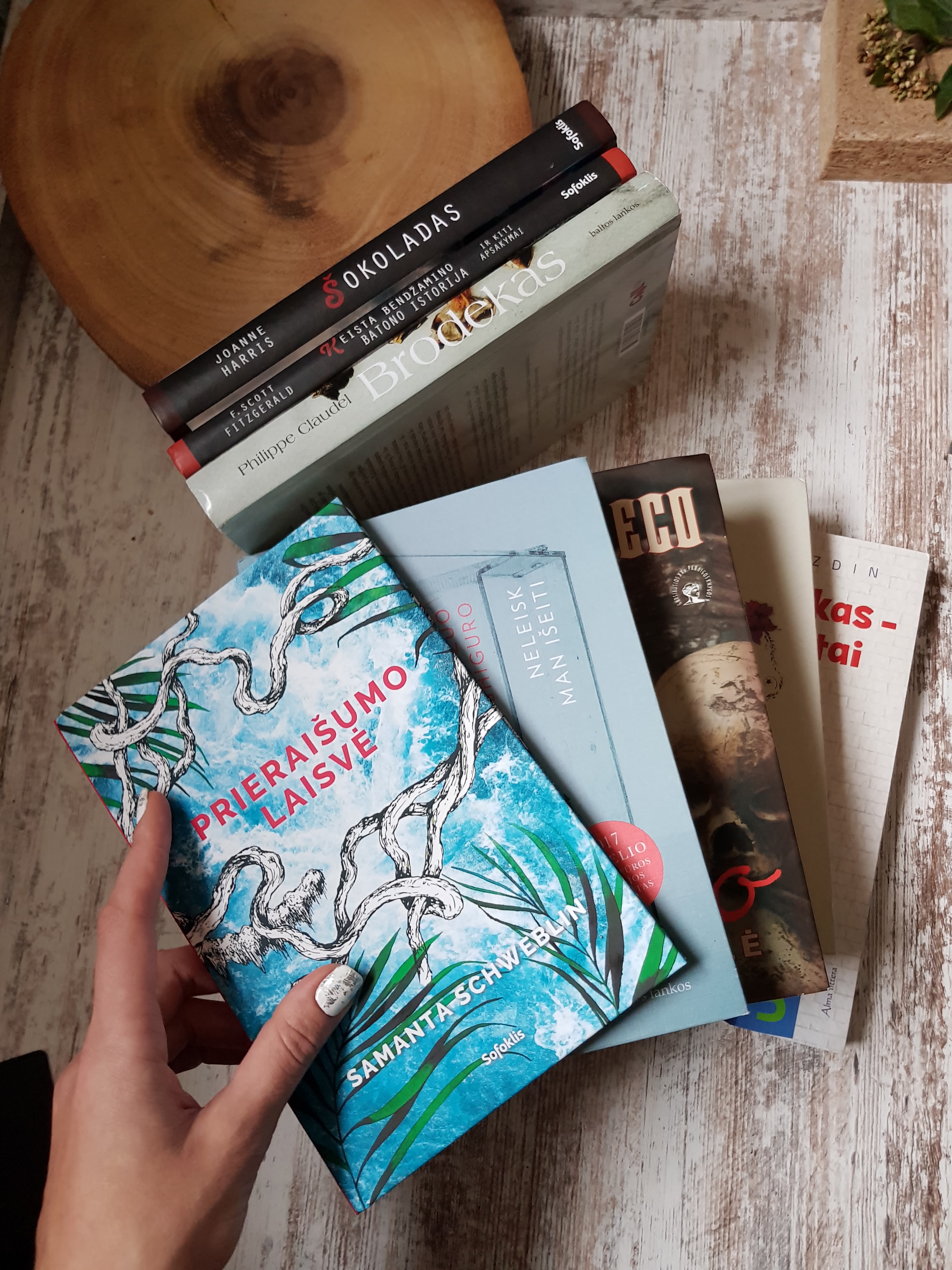 2018m geriausios knygos.